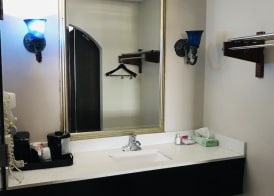 Summit Inn - Houston Medical Center 4