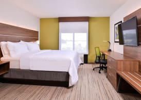 Holiday Inn Express & Suites TAMPA-ANDERSON RD/VETERANS EXP by IHG 5