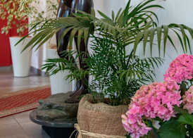 Hotel La Nuova Rotaia 3