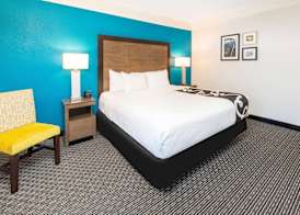 La Quinta by Wyndham Tampa Brandon Regency Park 5
