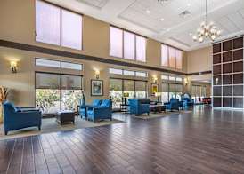 Comfort Suites Old Town Spring 2