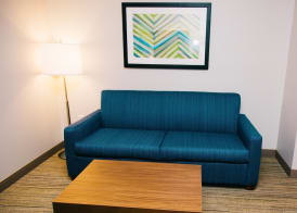 Holiday Inn Express & Suites TAMPA -USF-BUSCH GARDENS by IHG 3