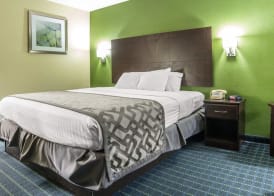 Rodeway Inn & Suites Needles 5