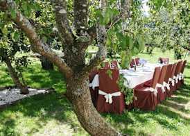 Hotel Casa Jurjo 4