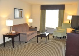 Holiday Inn Express & Suites SARASOTA EAST - I-75 by IHG 3