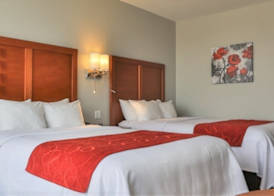 Comfort Inn & Suites 5