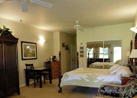Island Goode's - Luxury Adult Only Accommodation near Hilo 5