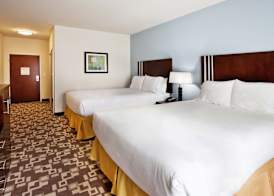 Holiday Inn Express & Suites ATLANTA ARPT WEST - CAMP CREEK by IHG 5