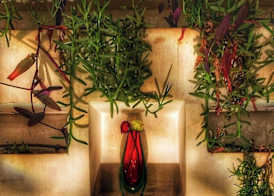 Riad Lumière 2