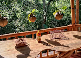 Penida Bambu Green Villas 2
