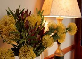 Leeuwenbosch Country House - Amakhala Game Reserve 4