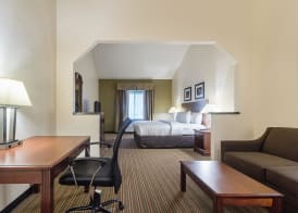 Quality Inn & Suites West Chase 3