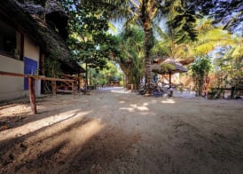 Eden Paradise 2