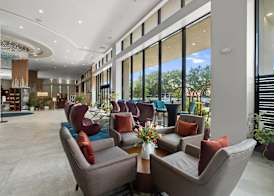 Cambria Hotel Orlando near Universal Theme Parks 3