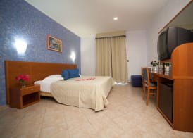 Hotel Zlatni Lav 4