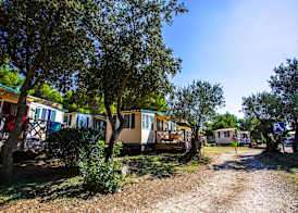 Arena Indije Campsite 2