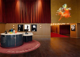Hotel Indigo SYDNEY POTTS POINT by IHG 2