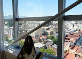 Design Suites Salta 2
