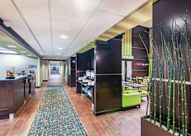 Hampton Inn & Suites Houston/League City 4