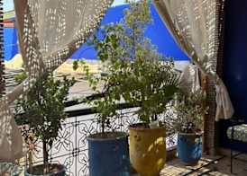 RIAD MAMAHOUSE 2