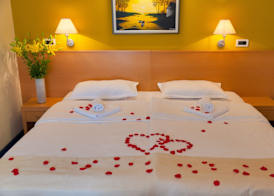 Hotel Saudade 4