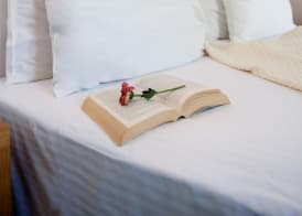 Elena Hotel Mykonos 4