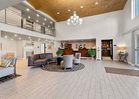 Comfort Inn & Suites Springfield I-55 2