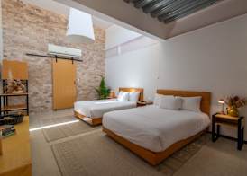 Mayan Monkey Los Cabos - Social Hostel 4