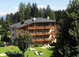 Soldanella by Hotel Adula 4