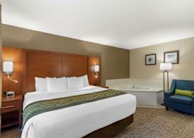 Comfort Inn & Suites - near Robins Air Force Base Main Gate 2