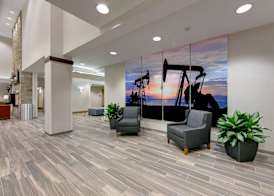 Hampton Inn & Suites North Houston Spring 4