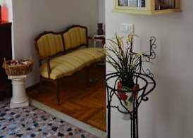 Madam Treviso 2