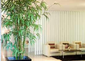 Lux Fatima Park - Hotel, Suites & Residence 3