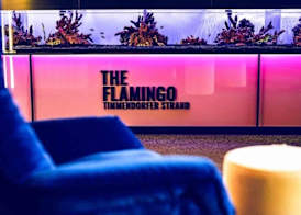 The Flamingo 3