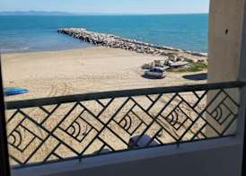 Palm Hotel 5