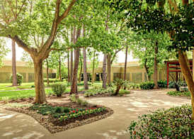 DoubleTree by Hilton Houston Intercontinental Airport 2