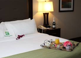Holiday Inn BUDD LAKE - ROCKAWAY AREA by IHG 4