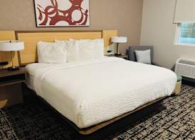 Best Western Plus Pearland/Houston Medical Center Hotel 5