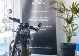 Onmood Cala Ratjada - Bed & Brunch 5
