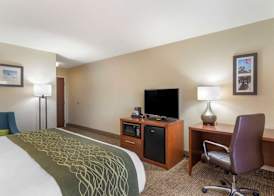 Comfort Inn & Suites - near Robins Air Force Base Main Gate 5
