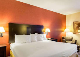 Quality Inn & Suites Oakwood Village - Cleveland South 3