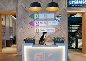 Aloft by Marriott Austin Downtown 2