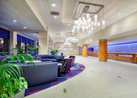 Disneyland Hotel 3