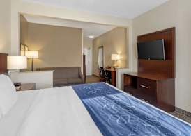 Comfort Suites Normal University area 5
