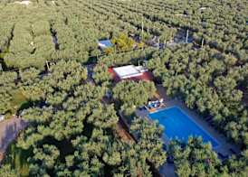 melograno Holiday Home with Swimming Pool and Private Beach 4