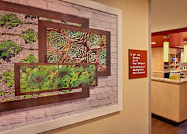 TownePlace Suites by Marriott Albany Downtown/Medical Center 3