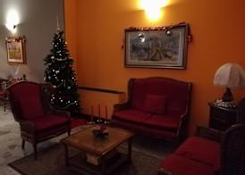 Aer Hotel Malpensa 3