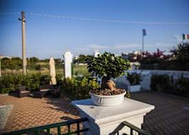 VILLA ADELAIDE SUITE & ROOM 5