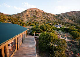HillsNek Safari Camp – Amakhala Game Reserve 4