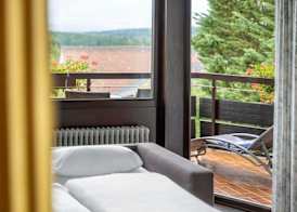 Schwanen 4